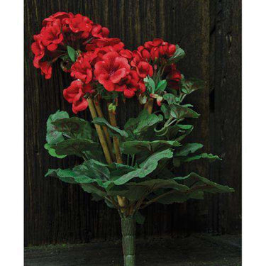 Geranium Bush, 15